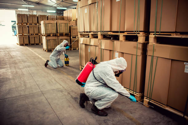 Best Exterminator Services  in , VT