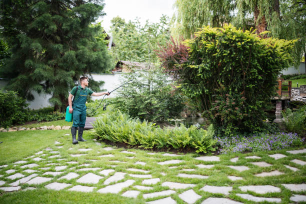 Best Pest Removal Services  in , VT