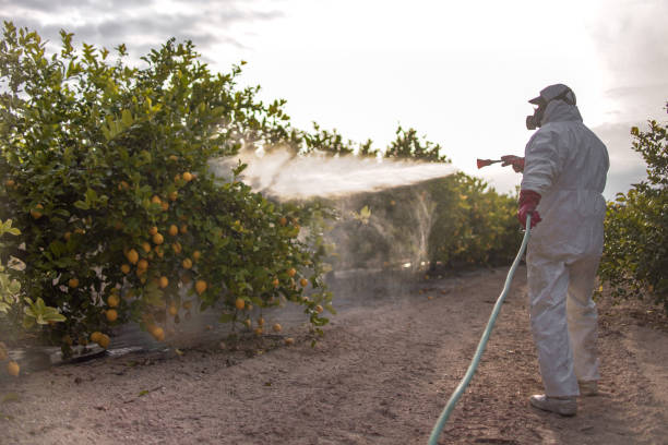 Best Emergency Pest Control  in , VT