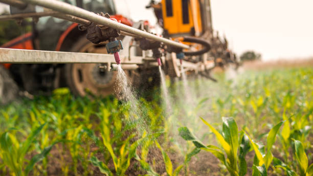 Best Commercial Pest Control Services  in , VT